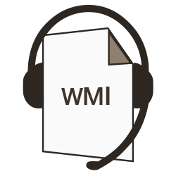 WMI Provider